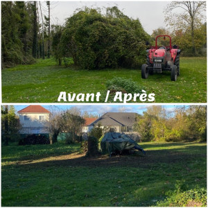 Photo de galerie - Mise au propre d’un terrain