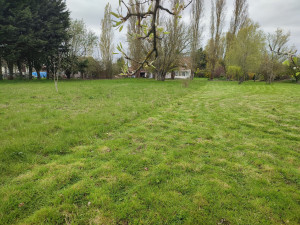 Photo de galerie - Tonte de pelouse - Débroussaillage