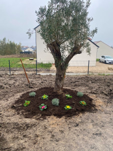 Photo de galerie - Paysagiste - Aménagement du jardin