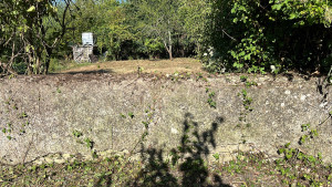 Photo de galerie - Tonte de pelouse - Débroussaillage