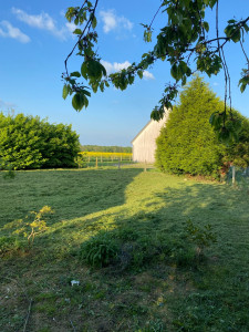 Photo de galerie - Fauchage