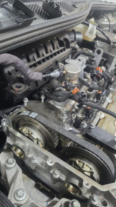 Photo de galerie - Distribution 