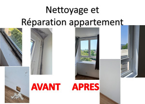 Photo de galerie - Nettoyage appartement,  moisissures et trous dans le mur