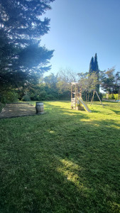 Photo de galerie - Entretien générale parcs et jardins 