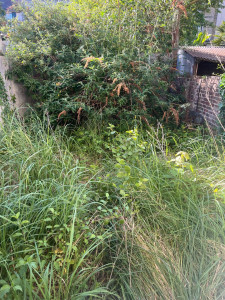 Photo de galerie - Jardinier