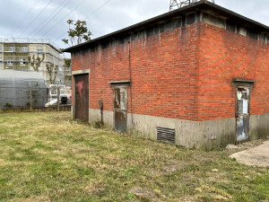 Photo de galerie - Tonte de pelouse - Débroussaillage