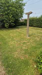 Photo de galerie - Tonte de pelouse - Débroussaillage