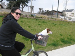 Photo de galerie - Garde chien