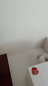 Photo de galerie - Réalisation d'enduit avant peinture 