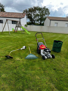 Photo de galerie - Tonte et débroussaillage de jardin 