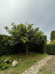 Photo de galerie - Bricolage et multi services