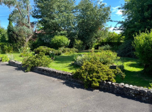 Photo de galerie - Entretien jardin arboré