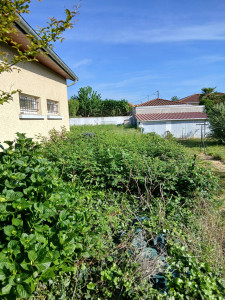 Photo de galerie - Tonte de pelouse - Débroussaillage