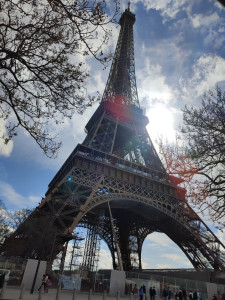 Photo de galerie - Transport à Paris et Ile de France.