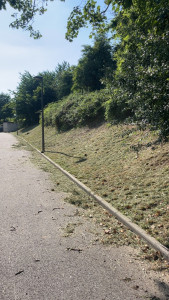 Photo de galerie - Débroussaillage d'un talus