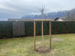 Photo de galerie - Petit plantation 