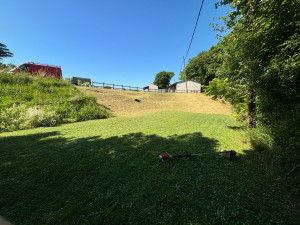 Photo de galerie - Tonte de pelouse - Débroussaillage