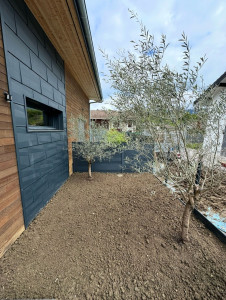 Photo de galerie - Creation de gazon placage