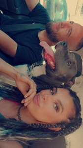 Photo de galerie - Garde chien