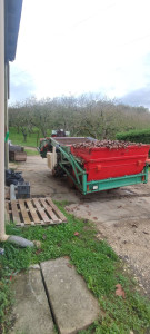 Photo de galerie - Coupe de bois, branchages, haies 