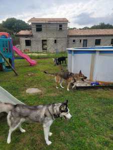 Photo de galerie - Garde à domicile 