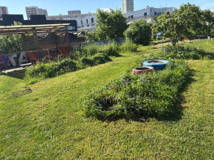 Photo de galerie - Avant