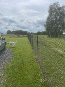 Photo de galerie - Clôture Grillage