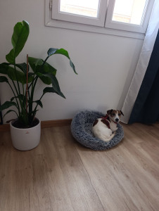 Photo de galerie - Repos 