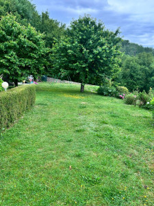 Photo de galerie - Tonte de pelouse - Débroussaillage