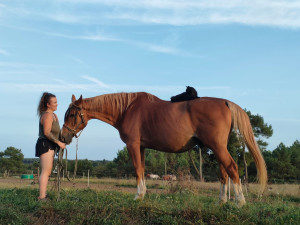 Photo de galerie - Garde animaux