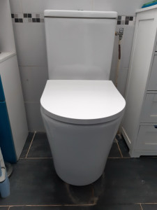 Photo de galerie - Remplacement des WC