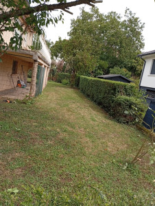 Photo de galerie - Taille de haies et d'arbustes