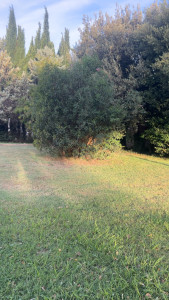 Photo de galerie - Jardinier