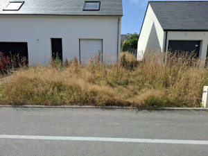 Photo de galerie - Tonte de pelouse - Débroussaillage