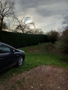 Photo de galerie - Entretien d’une haie 