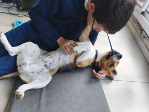 Photo de galerie - Câlins dans la véranda.