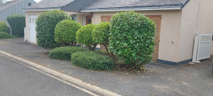 Photo de galerie - Toute la maison est en valeur