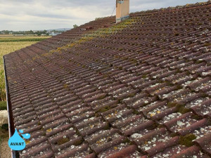 Photo de galerie - Couverture - Toiture