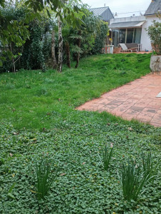 Photo de galerie - Avant travaux 