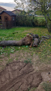 Photo de galerie - Paysagiste - Aménagement du jardin