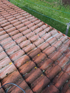 Photo de galerie - Nettoyage toiture
Produit pro-actif 