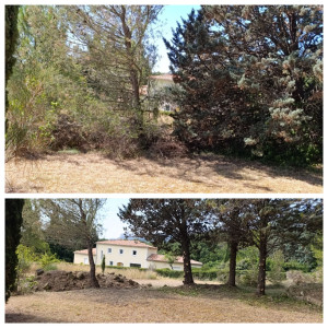 Photo de galerie - .