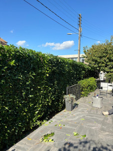 Photo de galerie - Entretien