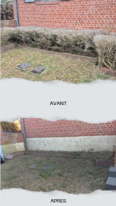 Photo de galerie - Déracinement haies