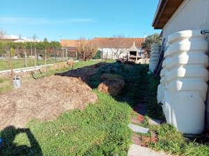 Photo de galerie - Mon jardin