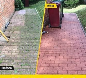 Photo de galerie - Paysagiste - Aménagement du jardin