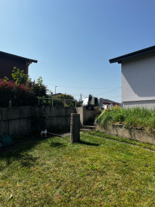 Photo de galerie - Abattage d’un cerisier /3