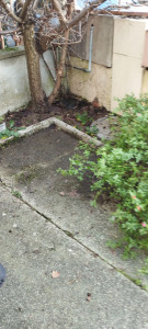 Photo de galerie - Jardinier