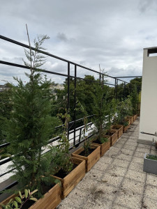 Photo de galerie - Aménagement d’une terrasse à Neuilly. 36 jardinières avec 10 variétés de plantes différentes. 