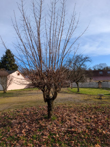 Photo de galerie - Avant